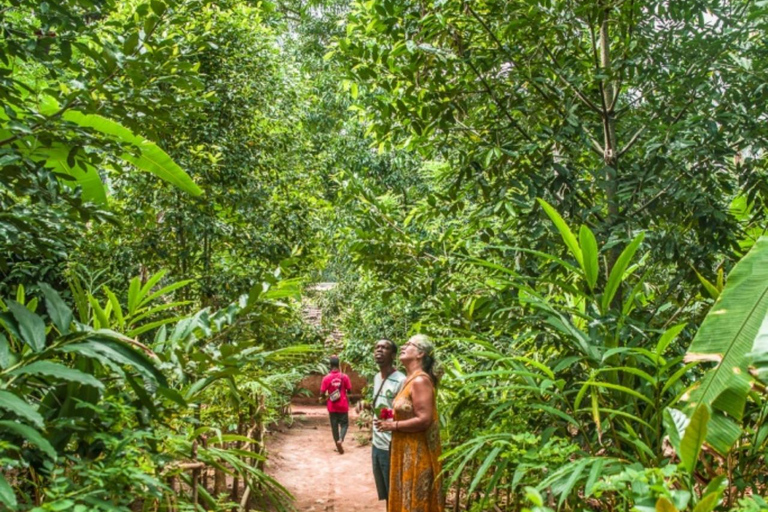 ZANZIBAR: Farma przypraw, jaskinia Salam, pływanie z żółwiami i restauracja RockWYCIECZKA PRYWATNA Z TRANSPORTEM