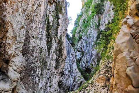 Holta Canyon Adventure – Day Trip from Durres