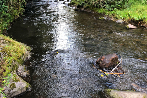 Quito : randonnée à la cascade de Condor Machay et visite d&#039;une hacienda
