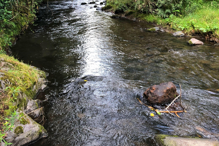 Quito : randonnée à la cascade de Condor Machay et visite d&#039;une hacienda
