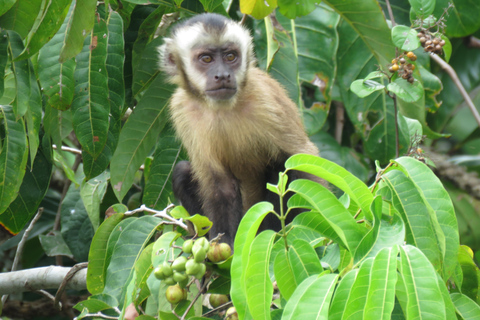 Puerto Maldonado: Tambopata Expeditions 4 Days (expeditions) Puerto Maldonado: Tambopata Expeditions 4 days (expeditions)