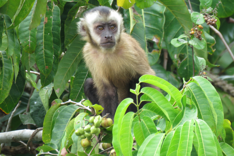 Puerto Maldonado: Tambopata Expeditions 4 Days (expeditions) Puerto Maldonado: Tambopata Expeditions 4 days (expeditions)