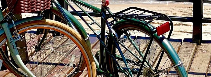 Colonia : Vélo urbain avec livraison à votre hôtel