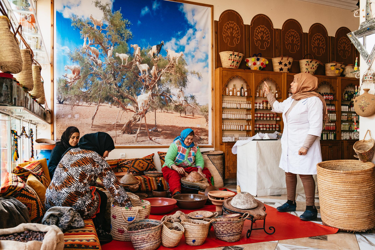 Marrakech : visite guidée de l'Atlas et des 5 valléesMontagnes de l'Atlas et 5 vallées - Visite privée