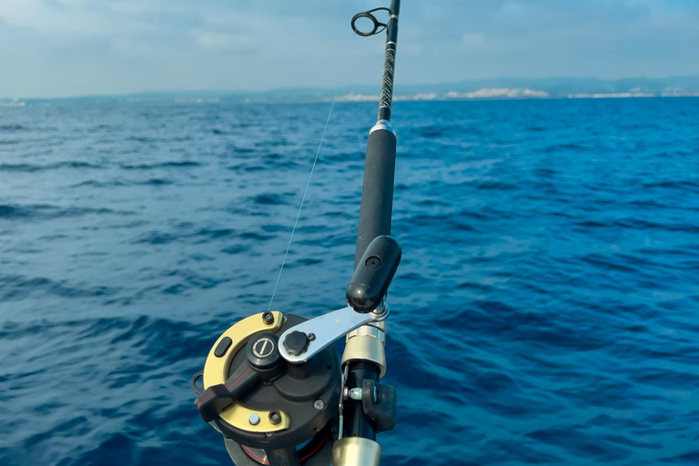 Benalmádena Catamaran Sightseeing Tour: Tapas Food Tasting, Drinks, Swimming & Dolphins Benalmádena Catamaran Tour: Tapas Tasting, Drinks, Swimming, and Dolphins