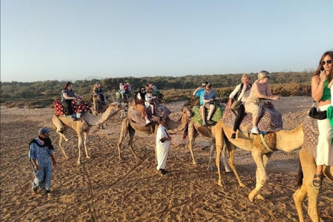 Agadir: Passeio de camelo com traslados do hotel