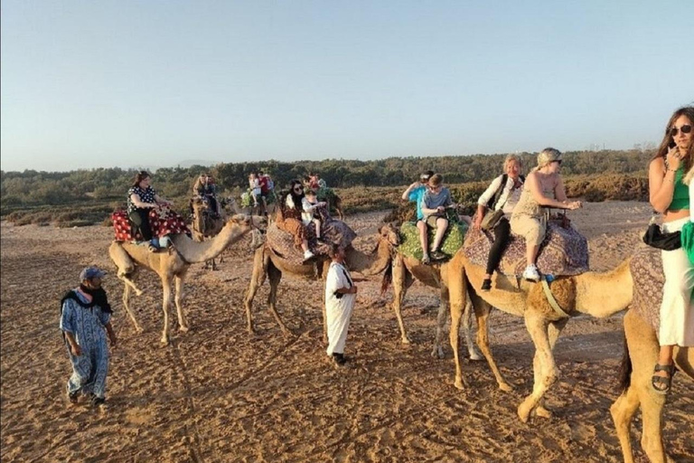 Agadir: Passeio de camelo com traslados do hotel