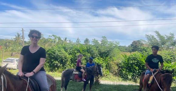 NADI: Nalesutale Village Full Day Tour