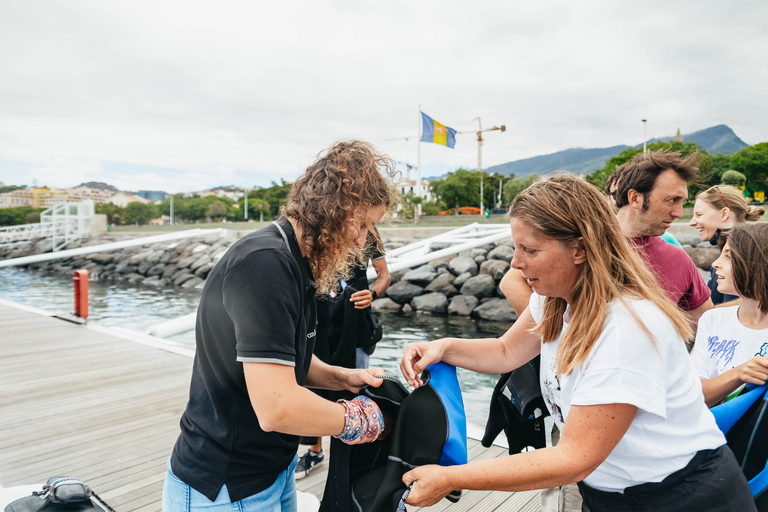 Depuis Funchal : Aventure avec les dauphins en bateau rapide