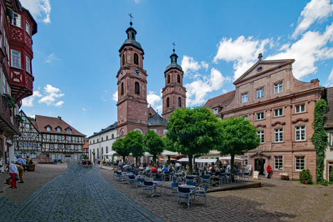 Miltenberg - Privé wandeltour met kasteelbezoek