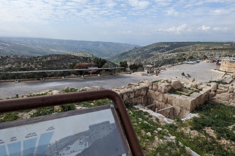 Excursión de un día a Ammán - Jerash - Ajloun y Umm QuaisExcursión de día completo Ammán-Jerash-Ajloun y Um Quais Minivan 7 pax