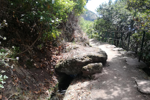 From Funchal: Levada Nova Hiking Tour with stopover at beach Nova friday