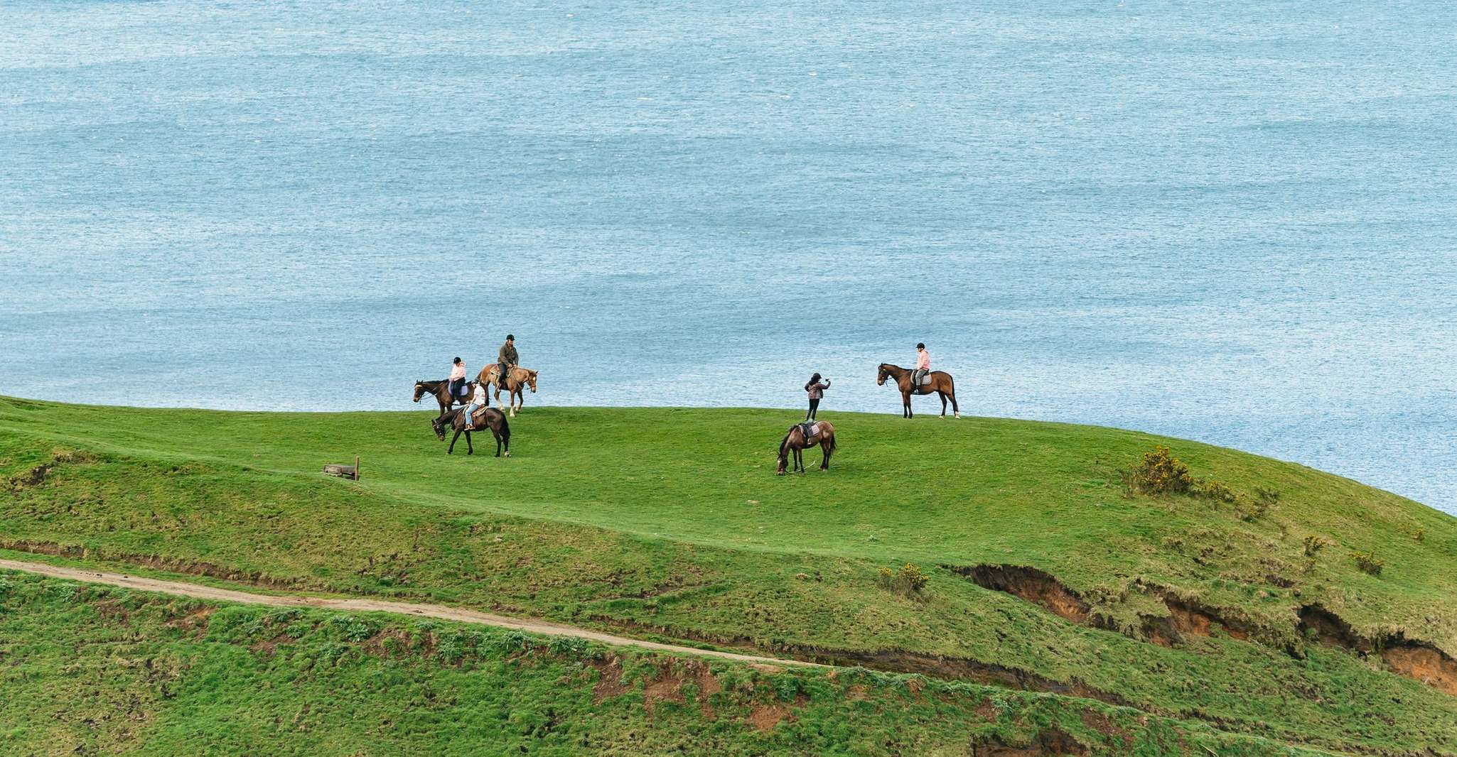 ロトルア、ンゴトハ山でのガイド付き乗馬日旅行 - Housity