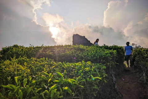 Bandung: White Crater, Scenic Tea Plantations & Hot Spring Open Tour: White Crater & Surroundings areas. with Tickets