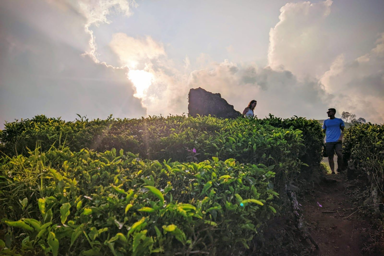 Bandung: White Crater, Scenic Tea Plantations & Hot Spring Open Tour: White Crater & Surroundings areas. with Tickets