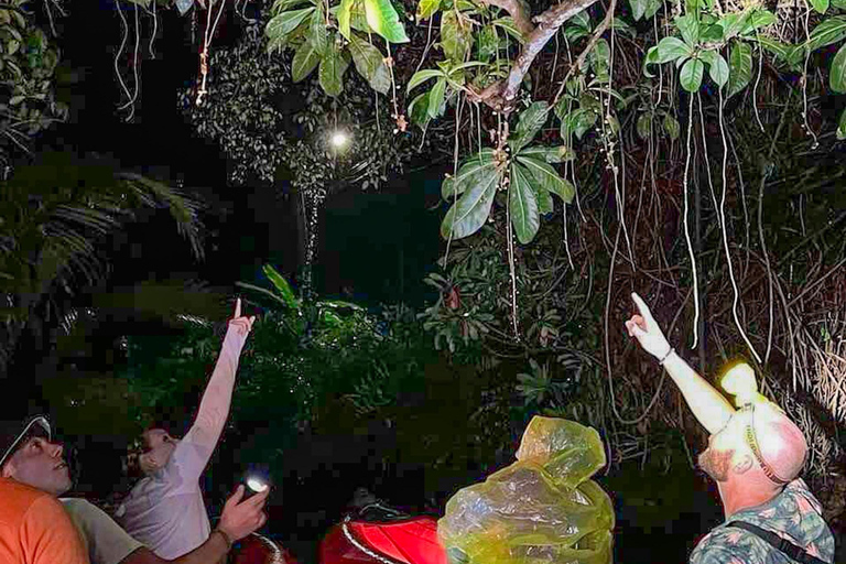 Khao Lak: Canoa notturna e passeggiata nella giungla della piccola Amazzonia