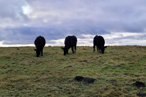 Manchester: Peak District 3-Walk 1 Day Tour