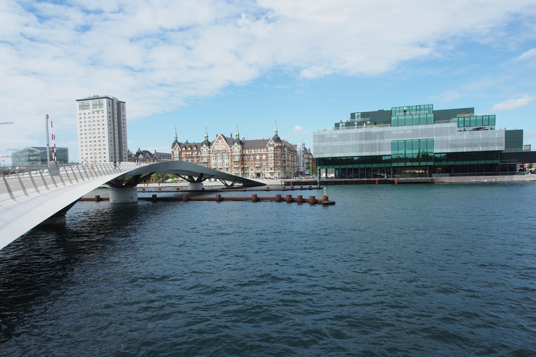 Kopenhagen: Privé Architectuur Tour met een lokale expert