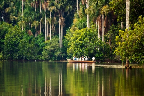 Madre de Dios: Jezioro Saldoval + wizyta u aryPeruwiańska dżungla: dzikie 4 dni