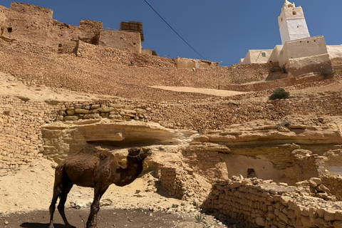 From Djerba: Chenini, Tataouine and Berber Villages
