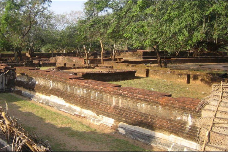 Colombo: Polonnaruwa & Minneriya Safari - Drop Sigiriya