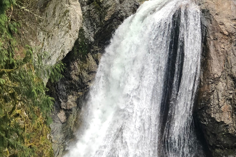 Seattle: Snoqualmie Falls and Twin Falls Guided Tour