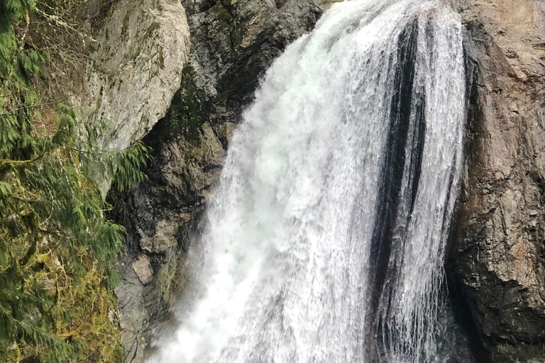Seattle: Snoqualmie Falls and Twin Falls Guided Tour