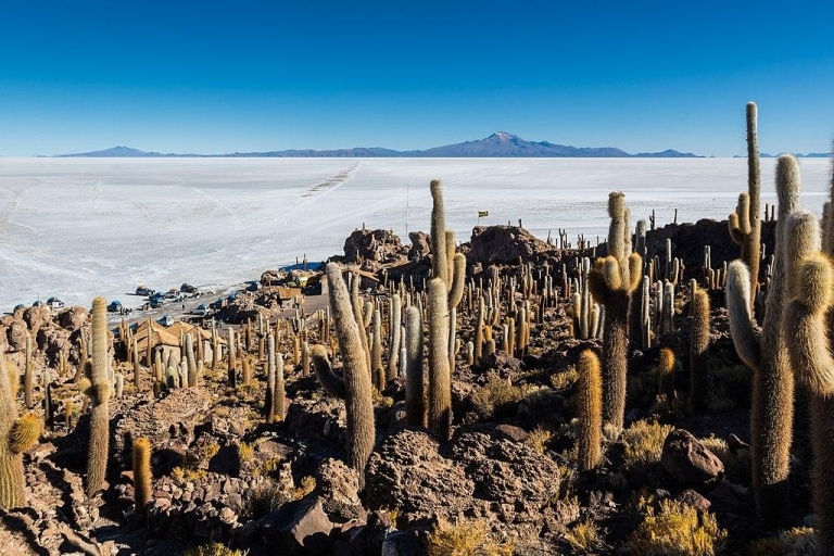 Visit to the Uyuni salt flat from Sucre by bus