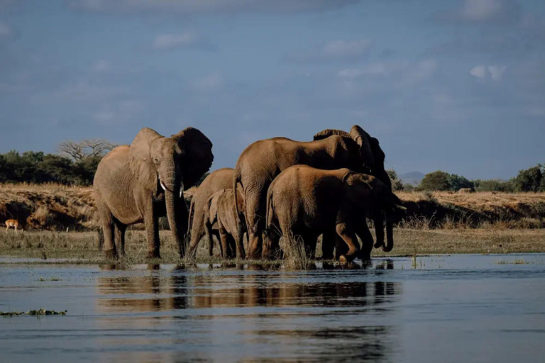 Zambezi River Safari with Lunch & Drinks