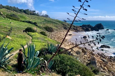 Vanuit Tarifa: Wandeltocht met gids in het Natuurpark van de Straat