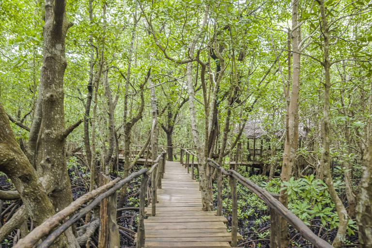 Zanzíbar: Visita guiada al Parque Nacional del Bosque de Jozani