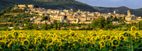 Umbria, Spello to Assisi Trekking on Mount Subasio + lunch - Housity