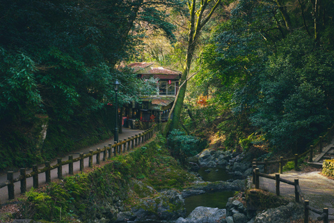 Osaka: Nara, Akame 48 Waterfalls & Tanzan Shrine Tour Shared Tour, Meet at Tsurutontan Soemoncho
