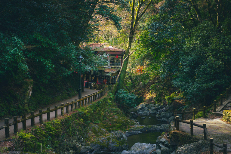 Osaka: Nara, Akame 48 Waterfalls & Tanzan Shrine Tour Shared Tour, Meet at Tsurutontan Soemoncho