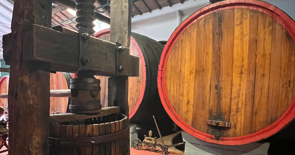 Modena Parmesan, Balsamic Vinegar, Lambrusco Tour + Lunch GetYourGuide