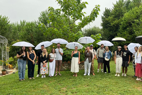 Florença: Visita ao campo com prova de vinhos e aula de massasFlorença: Passeio pelo campo com degustação de vinhos e aula de massas