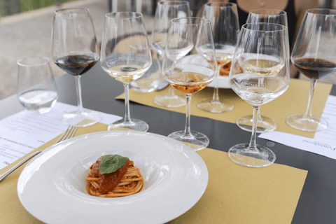 From Florence: Tuscany, Siena, San Gimignano & Winery Lunch Private Tour: Tuscany, Siena, San Gimignano & Winery Lunch