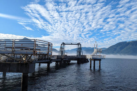 جولة ويسلر، جندول سي تو سكاي، شلال شانون وبحيرة جريناجعل جولتك خاصة