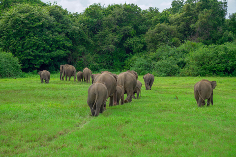 Kaudulla Wildlife & Landscape Photography Expedition