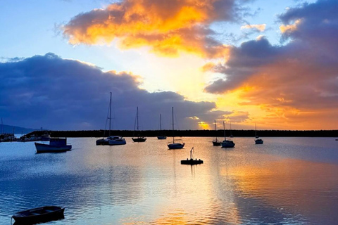 Melbourne: Twelve Apostles&Great Ocean Road,Find Koala Tour