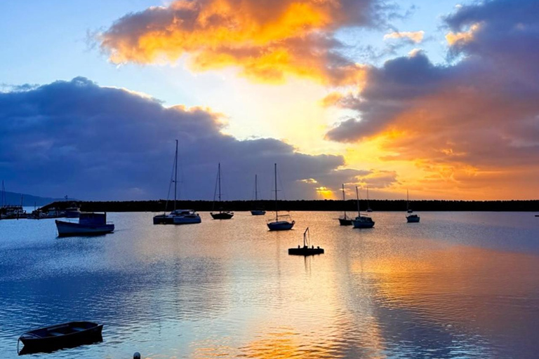 Melbourne: Twelve Apostles&Great Ocean Road,Find Koala Tour