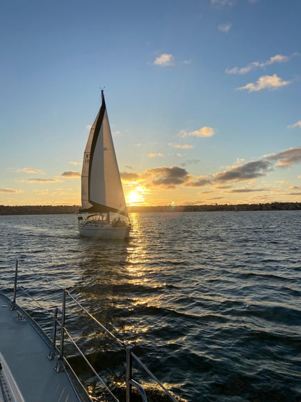 San Diego: Sonnenuntergangs- und Tagessegelausflug mit Getränken