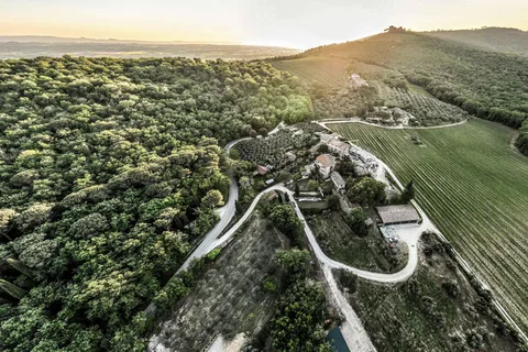 Trasimeno: alla scoperta dell'esperienza enologica di Montemelino