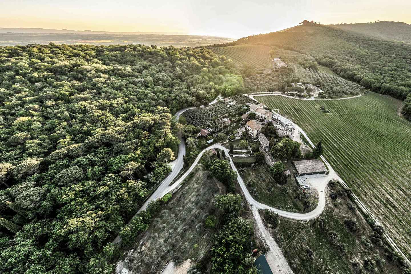 UPPGÖTVAÐU MONTEMELINO - VÍNUPPLIFUN VIÐ TRASIMENO-VATN