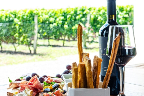 Shuttle to Traditional Vineyard with Wine Tasting included Bus Ticket RoundTrip - snack and wine tasting included