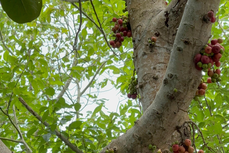Tour panoramico della città di Da Nang con avventura in parapendioTour privato in moto