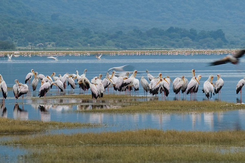 Lake Manyara: The best of Day Trip from Arusha