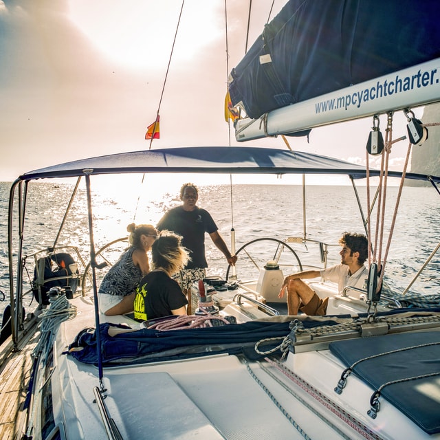 Whale and Dolphin Watching Sailing Tour - Los Gigantes (3H)