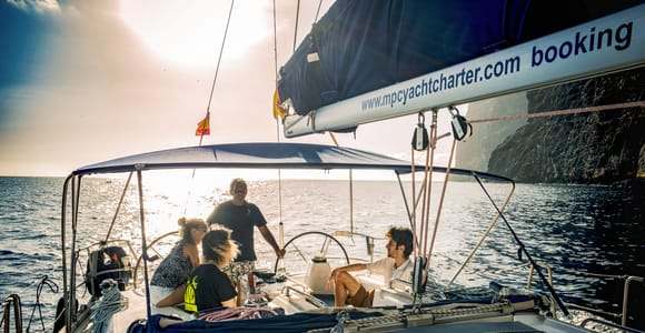 Whale and Dolphin Watching Sailing Tour – Los Gigantes (3H)