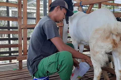 Ubud: River Tubing, ATV Ride & Goat Farm Tour with Milk Single ATV Ride Meet in our Location with Fresh Etawa Milk